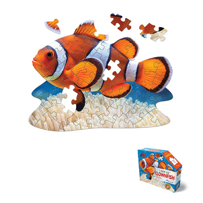 48 piece - I AM LIL' CLOWNFISH