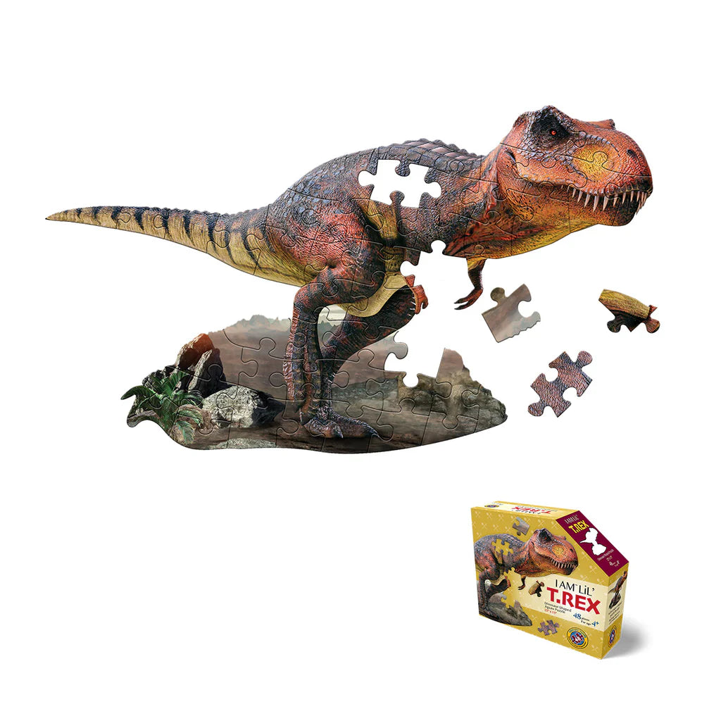 48 piece - I AM LIL' T-REX