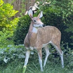 Cast aluminum deer doe with textured body in natural stance for outdoor displays.