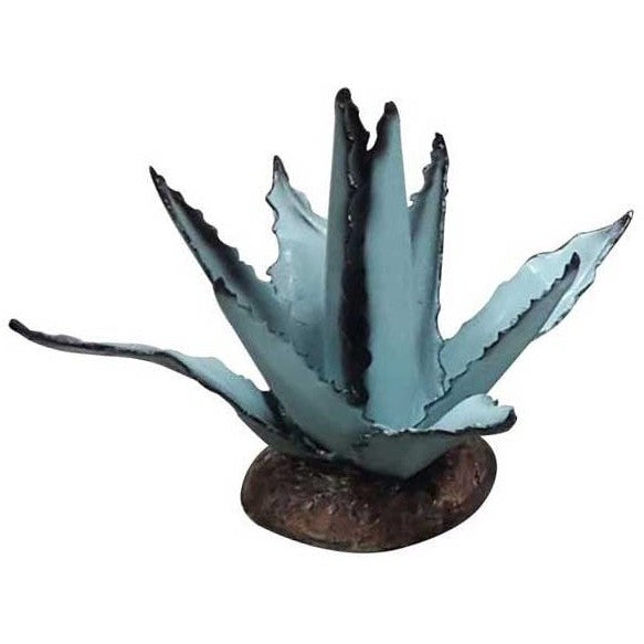 Small Agave