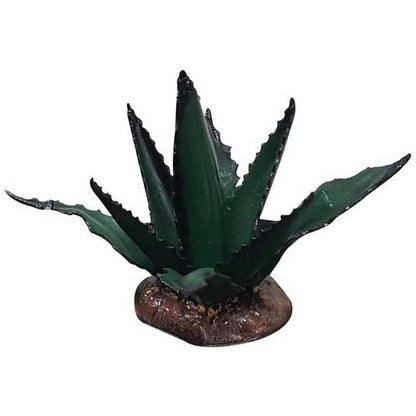 Large Agave