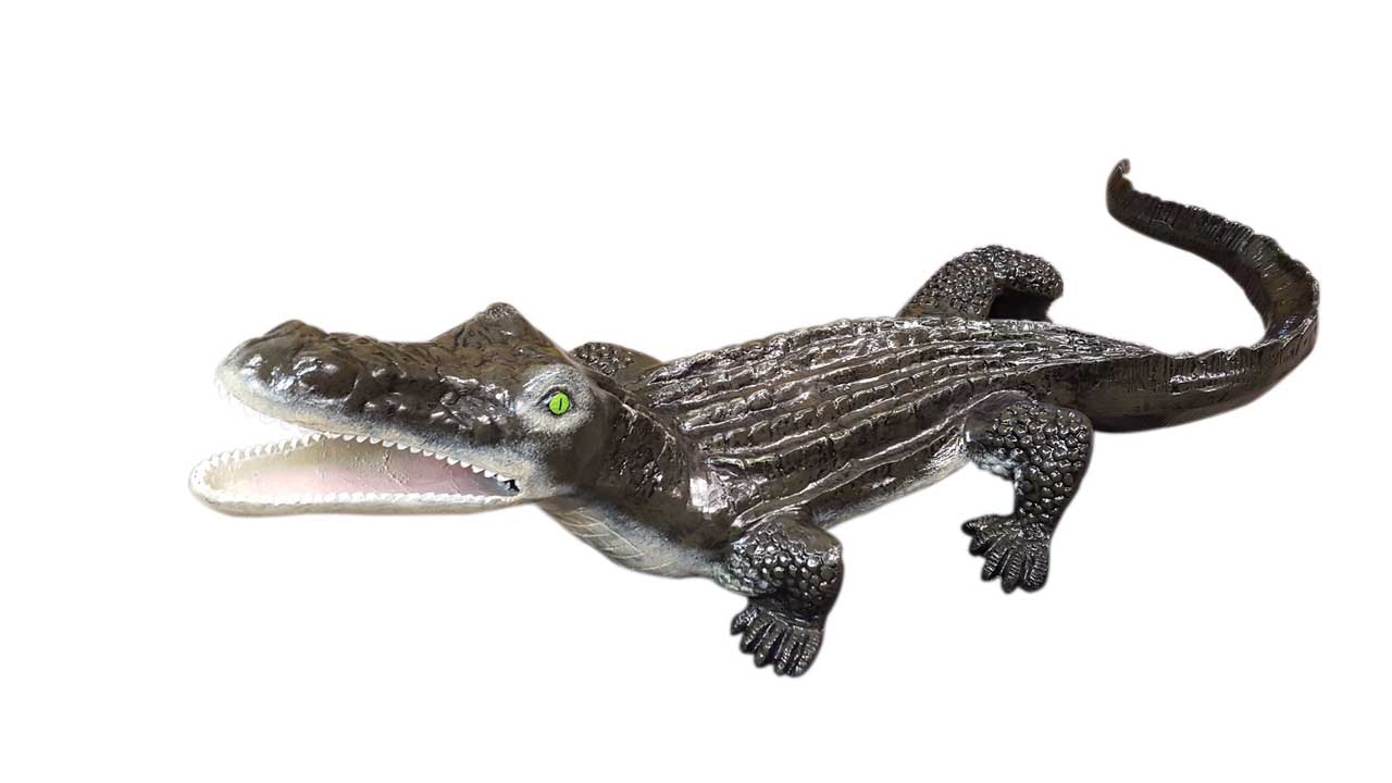 59" Crocodile