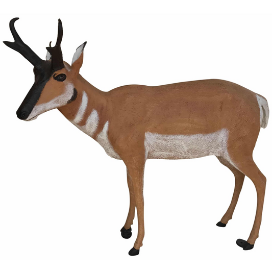 Antelope Buck