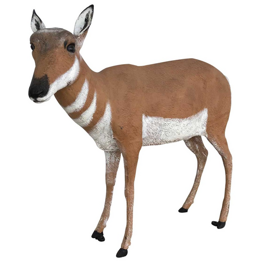 Antelope Doe