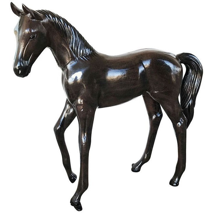 Arabian Colt