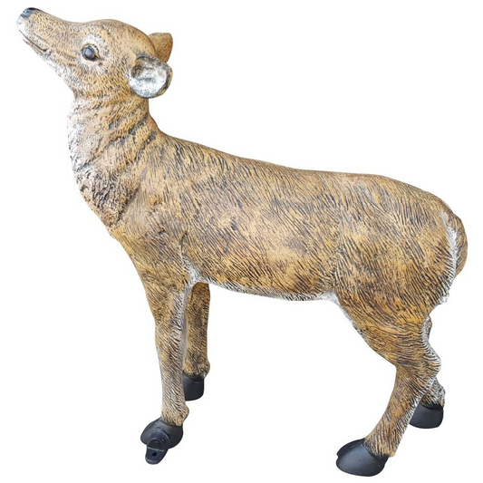 Standing Doe Fawn