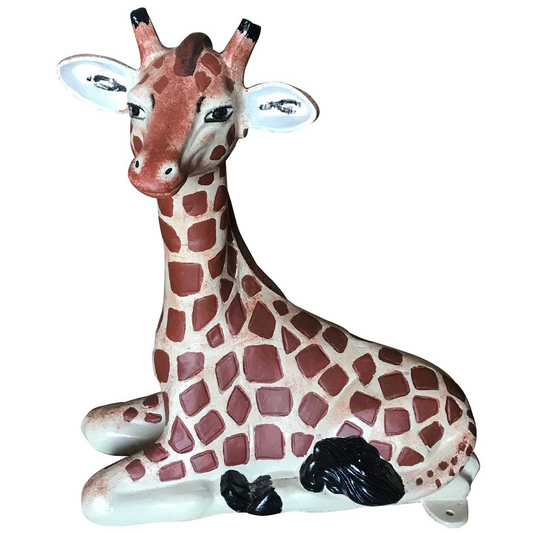 Baby Giraffe Laying Down