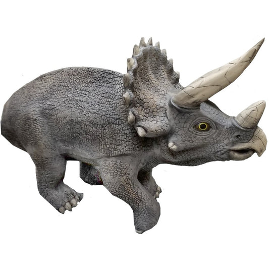 Baby Triceratops