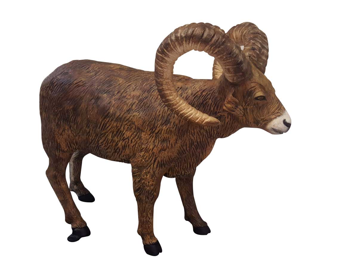 Big Horn Sheep