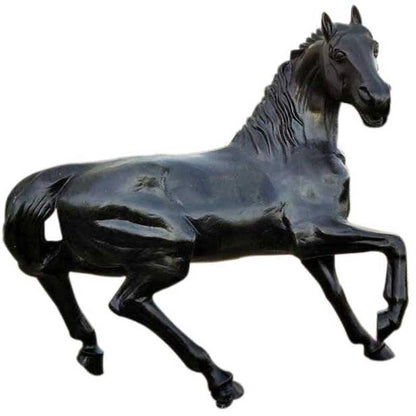 Wild Stallion