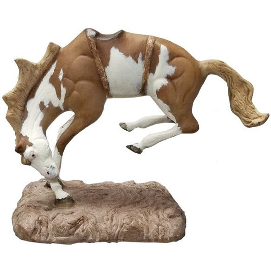 Bronco Horse