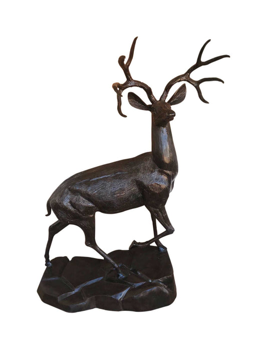 Deer Buck on Rock