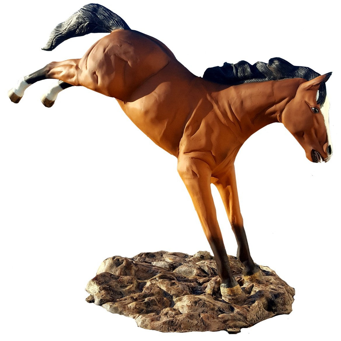Bucking Horse
