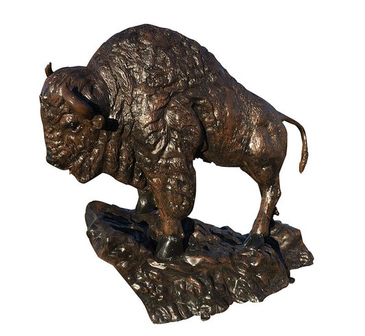 Medium Buffalo on Rock