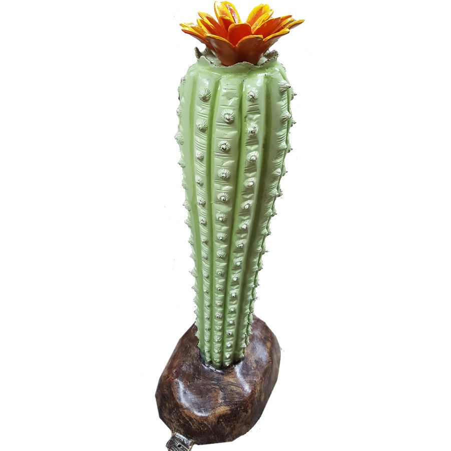 Cactus with Flower