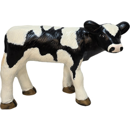 Calf with Turned Head