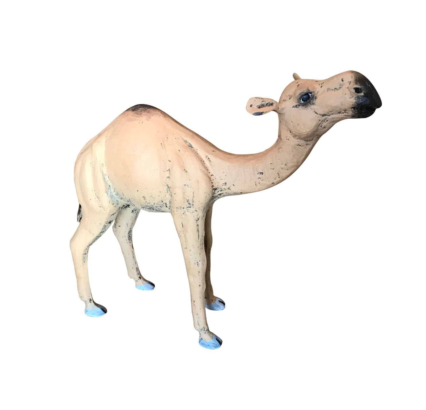 Mini Camel