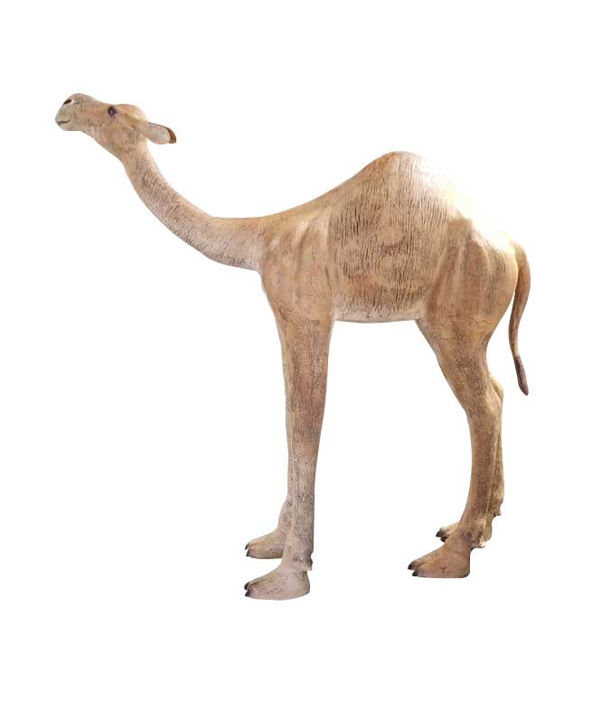 Medium Camel with 1 Hump