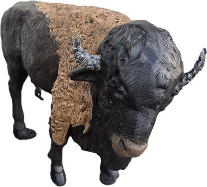 Buffalo Calf