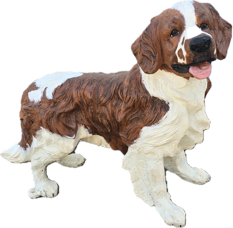 Spaniel