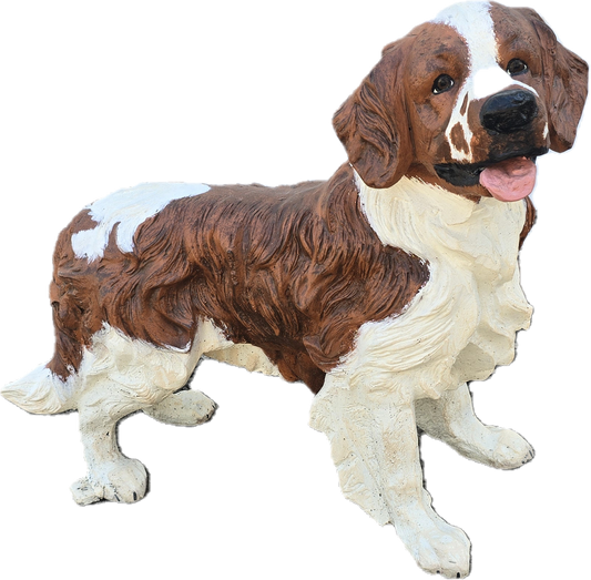 Spaniel