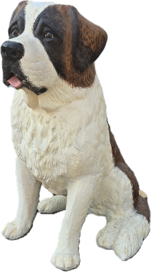 Saint Bernard Puppy