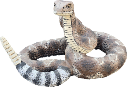 Rattle Snake - Backyard Buddies