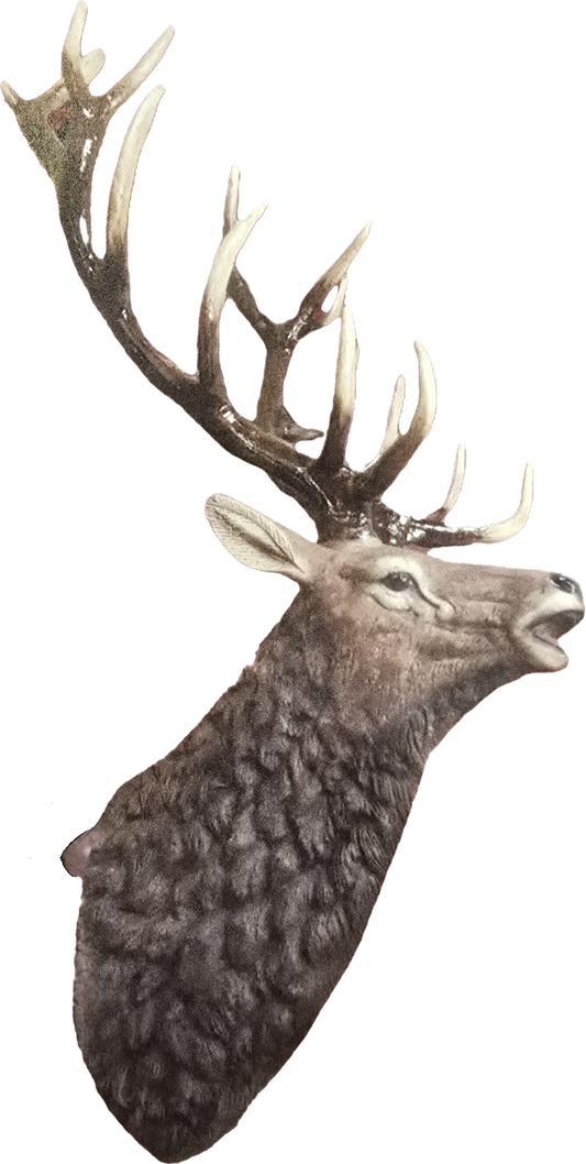 Elk Wall Mount