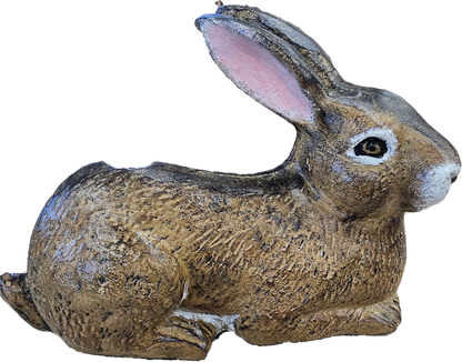 Laying Down Rabbit