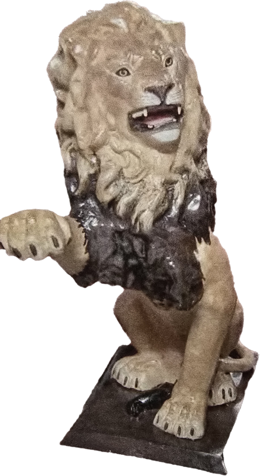 Sitting Lion