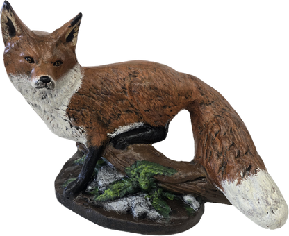 Fox Sitting on Log