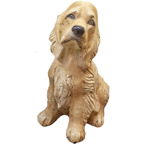 Cocker Spaniel