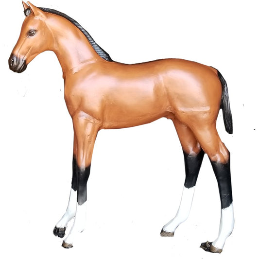 Colt