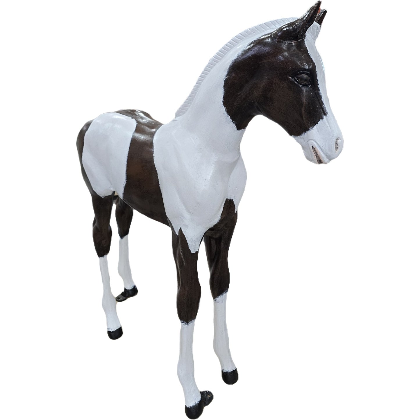 Colt