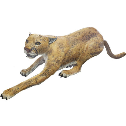Cougar Crouching