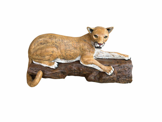 Cougar on Log