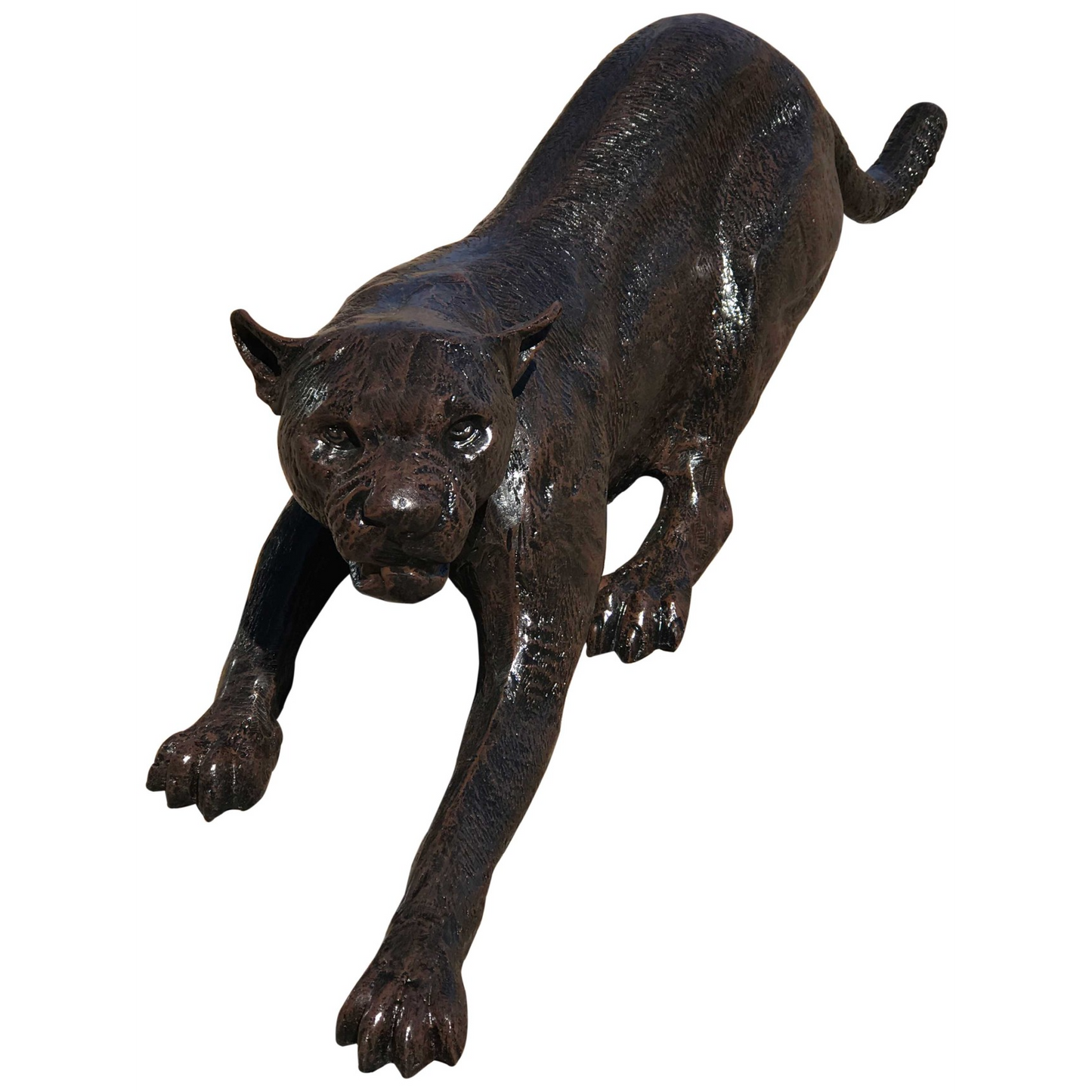 Cougar Crouching