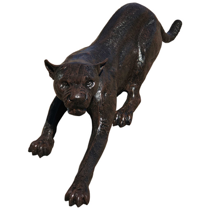 Cougar Crouching