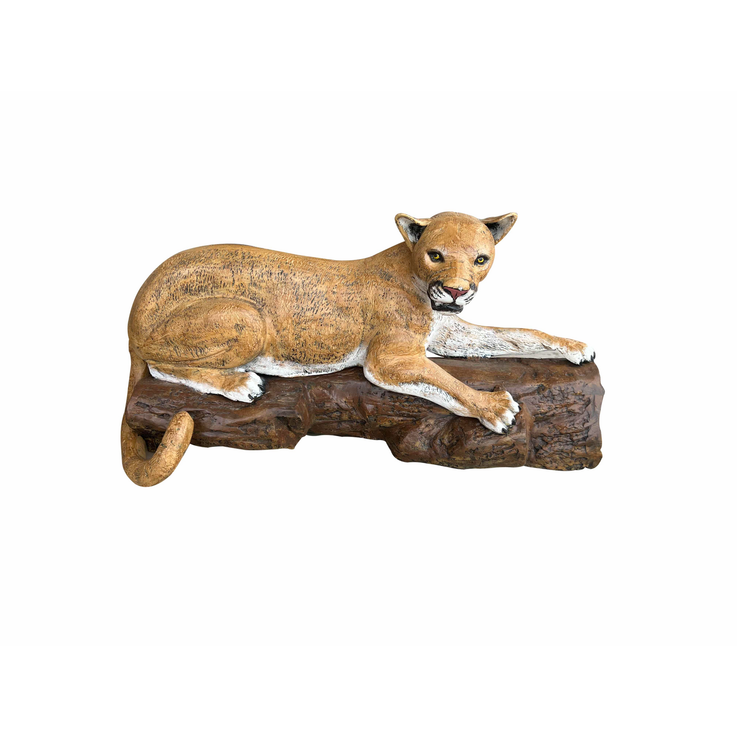 Cougar on Log