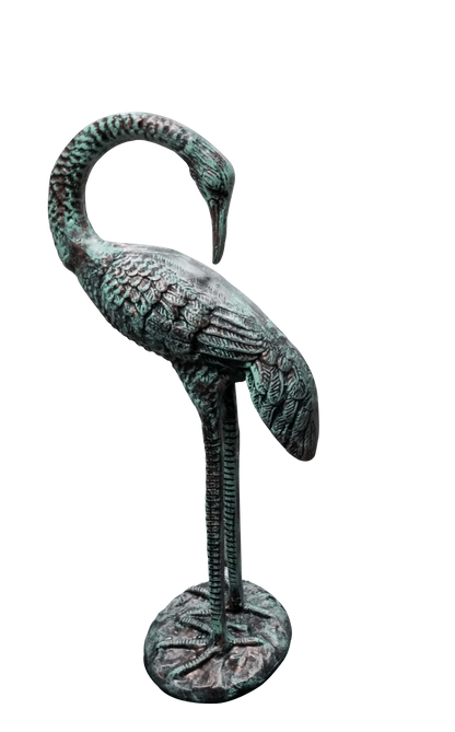 Standing Crane Head Turned Back