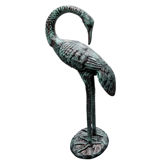 Standing Crane Head Turned Back