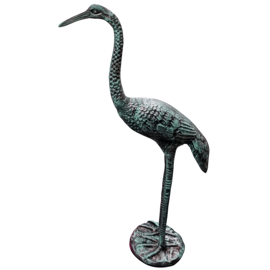 Standing Crane Head Up