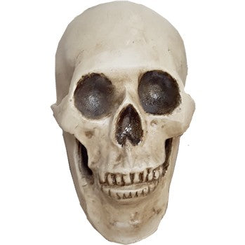 Cast aluminum skull statue for yard or home decor, detailed bone texture, eerie Halloween accent