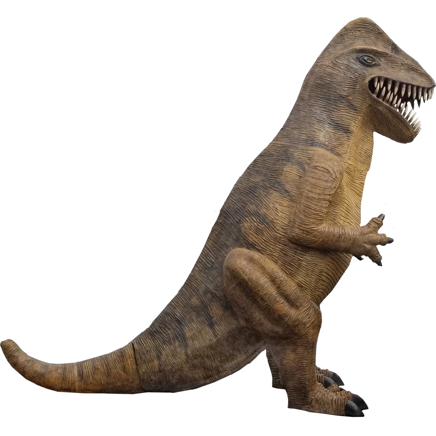 14.5' T-Rex