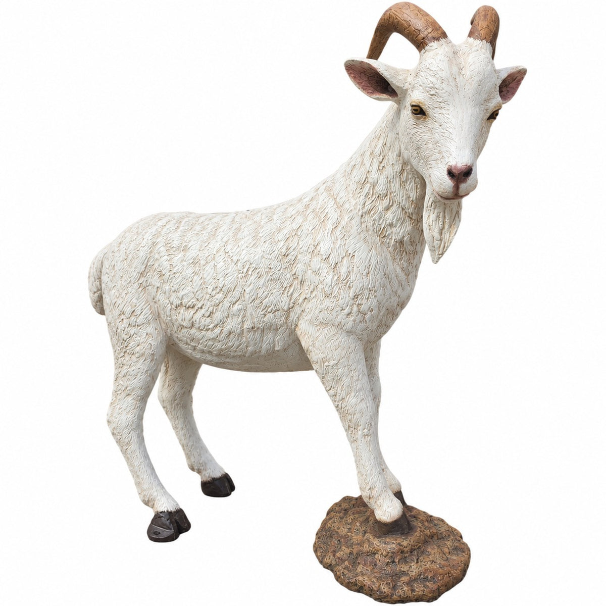 Goat on Rock