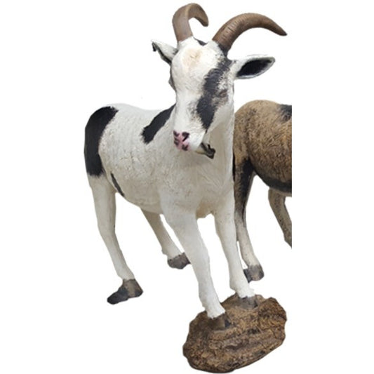 Cast aluminum goat statue with curved horns, black and white spots, standing on rock base for yard decor