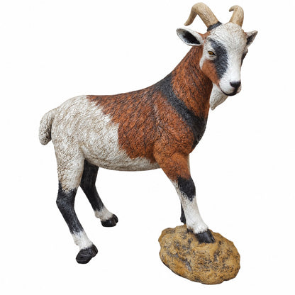 Goat on Rock