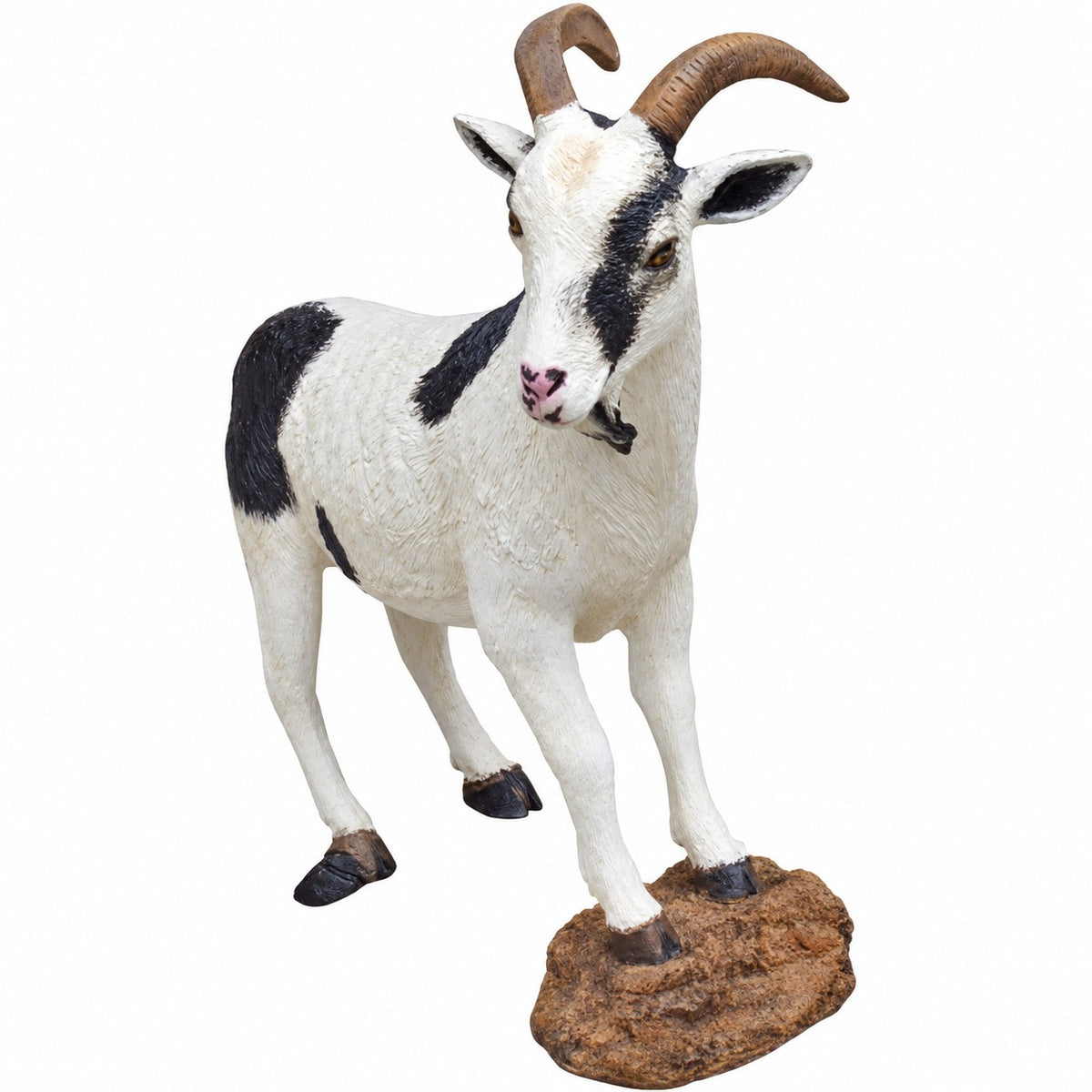 Goat on Rock
