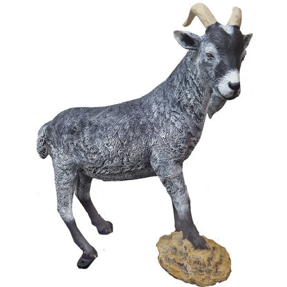 Goat on Rock