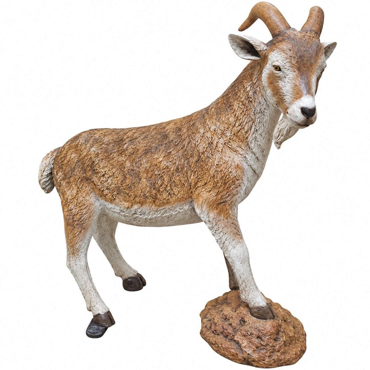 Goat on Rock